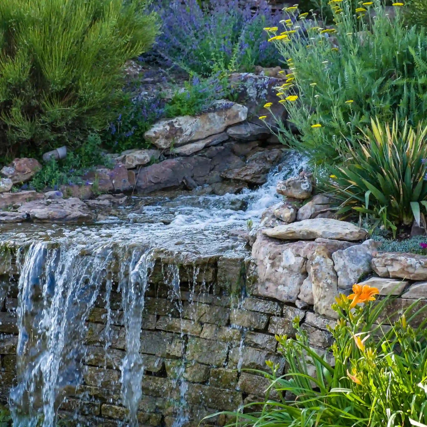 Custom-built pond with tiered waterfalls, perfect for backyard landscaping