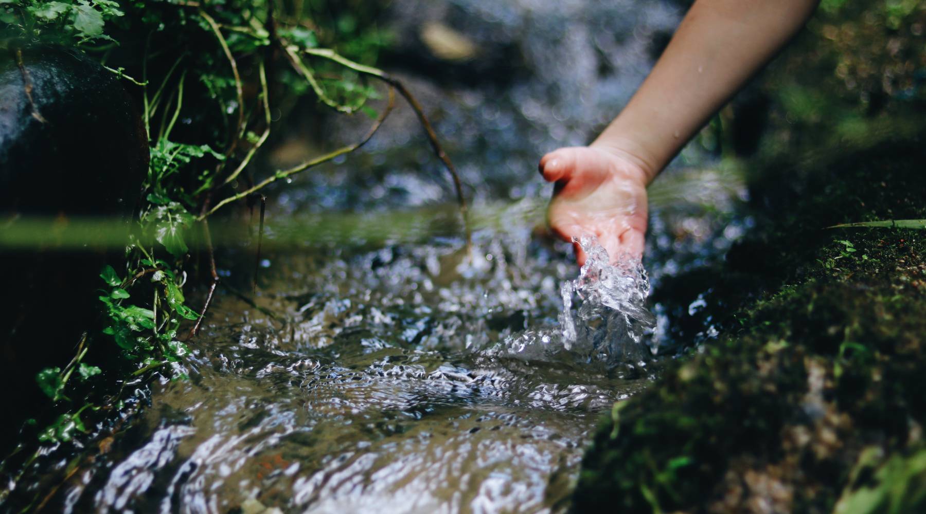 Professional Backyard Waterfall Design & Stream Engineering – AquaGarden