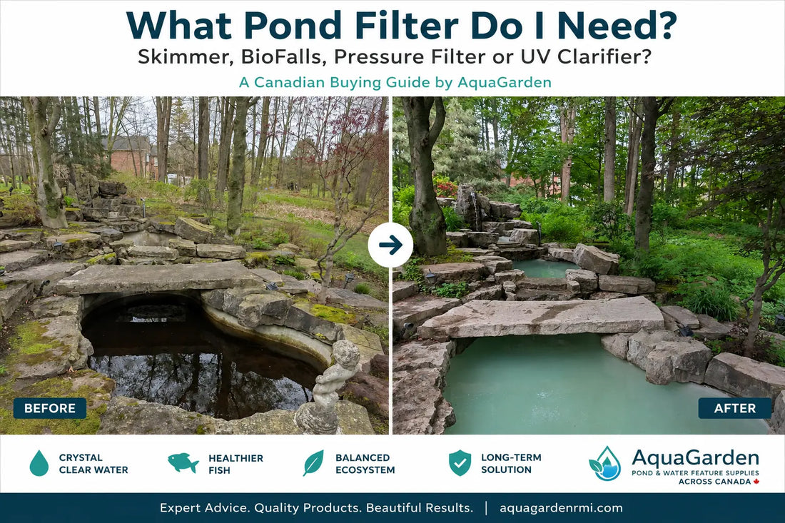 Compare pond skimmers, BioFalls, pressure filters and UV clarifiers. Find the right filtration system for your backyard or koi pond in Canada.