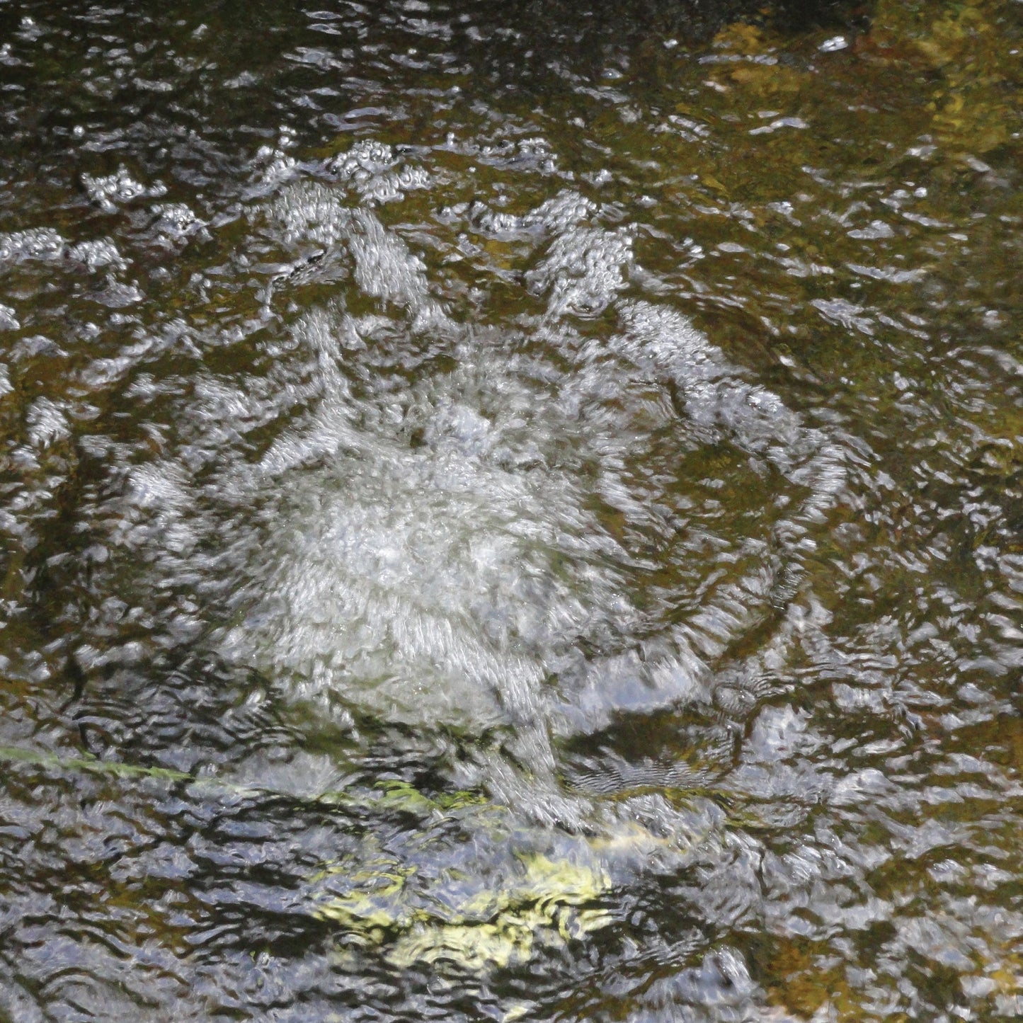 Atlantic-Oase Typhoon Air Pumps pond application