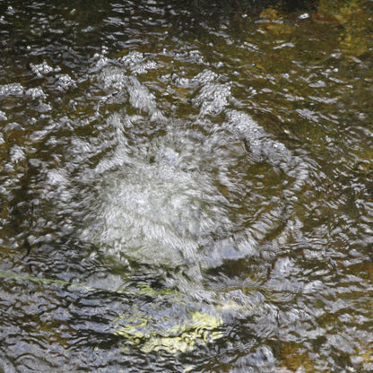 Atlantic-Oase Typhoon Air Pumps pond application