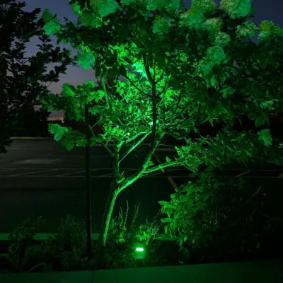 Green LED tree uplighting for backyard landscape design in Markham.