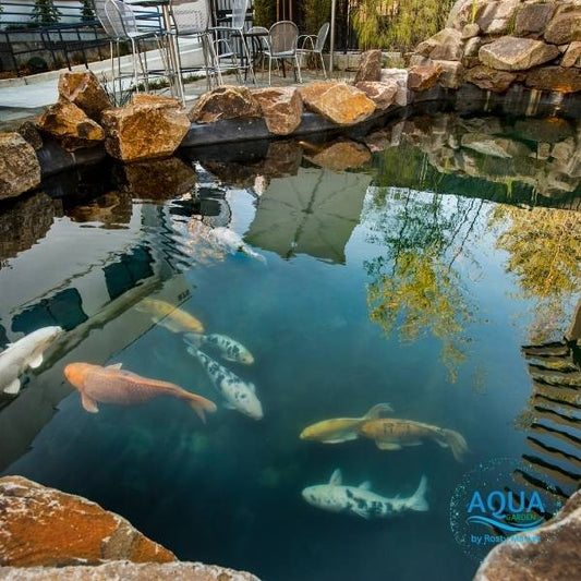 Pond Construction Services in Toronto GTA and Ontario-Aquagarden