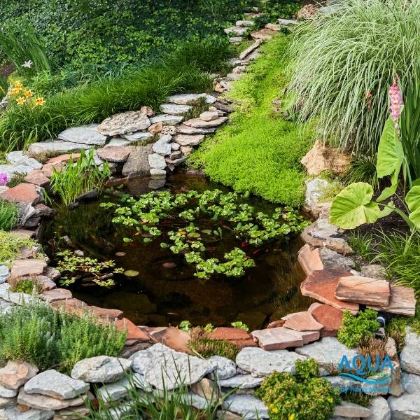 Pond Construction Services in Toronto GTA and Ontario-Aquagarden