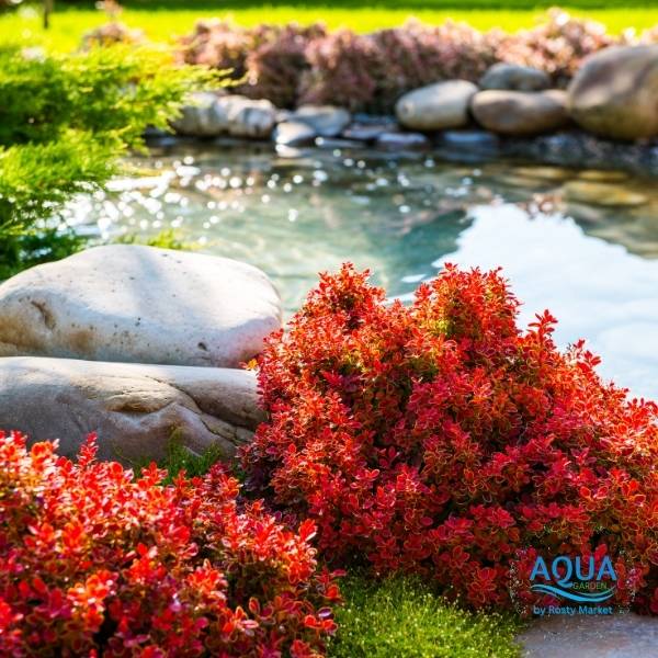 Pond Construction Services in Toronto GTA and Ontario-Aquagarden