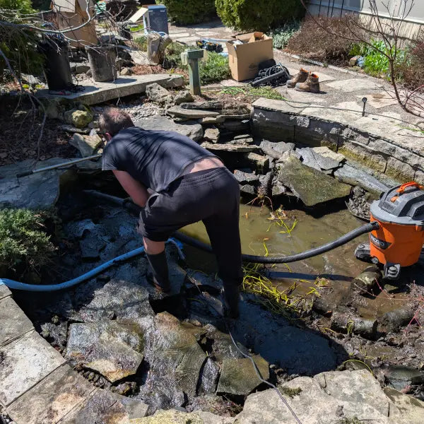Pond & Water Feature Maintenance Services in Toronto & Ontario