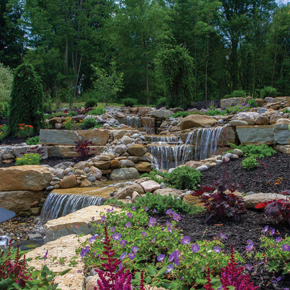Garden with a small waterfall and various plants in a natural setting