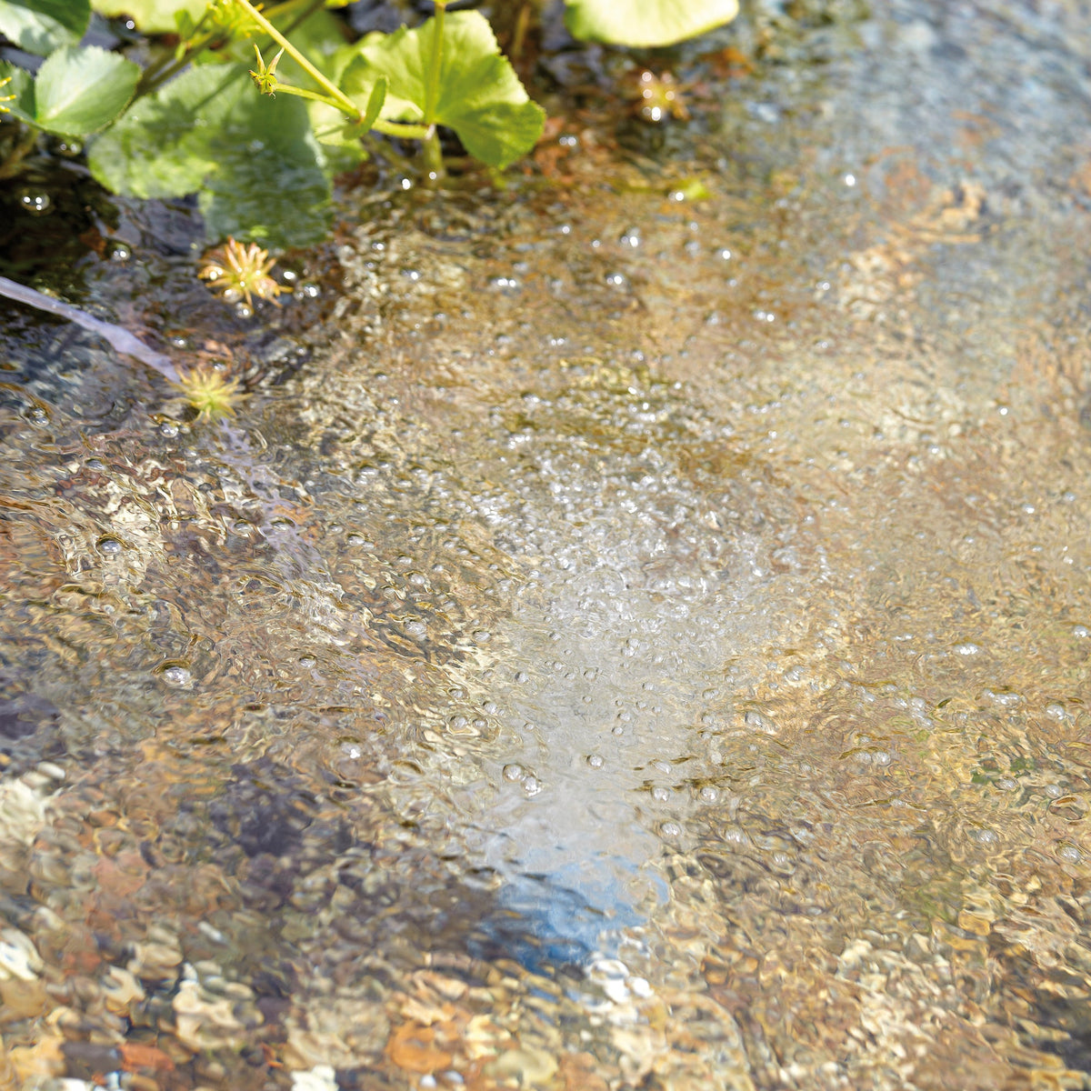 Atlantic-Oase AquaOxy Aeration — product image 4