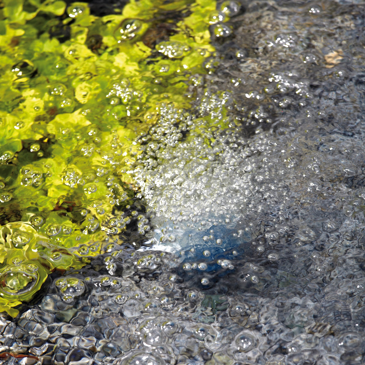 Atlantic-Oase AquaOxy Aeration — product image 5