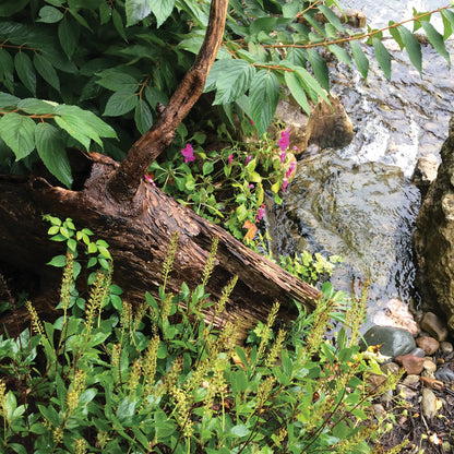 Atlantic-Oase FastFalls — product image 6