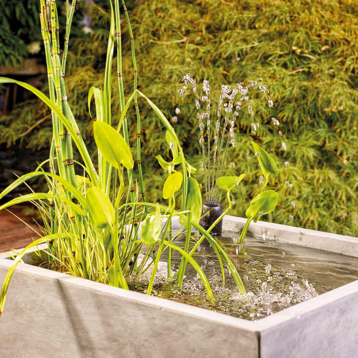 Atlantic-Oase Pond-Fountain Filtral UVC — product gallery 6