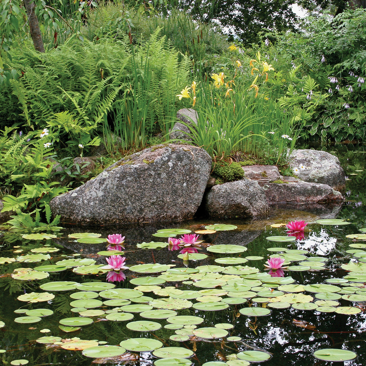Atlantic-Oase Pond Kits — product image 8
