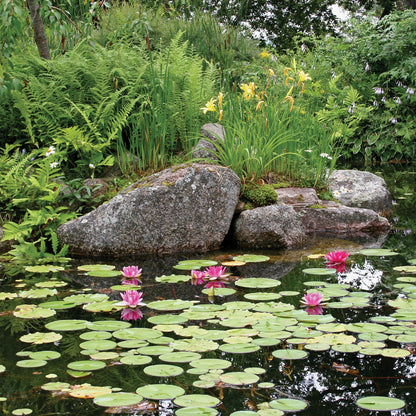 Atlantic-Oase Pond Kits — product image 8