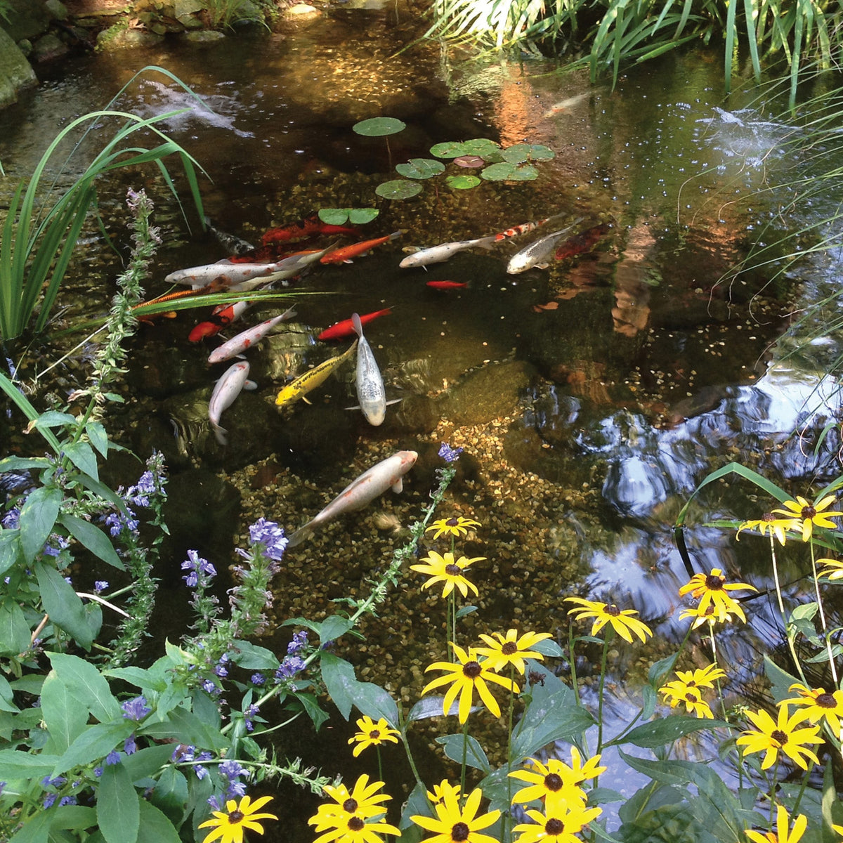 Atlantic-Oase Pond Kits — product image 9