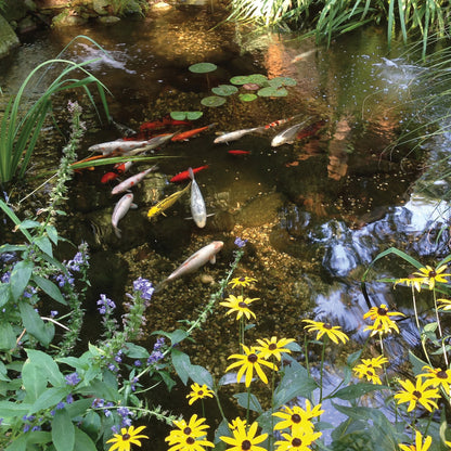 Atlantic-Oase Pond Kits — product image 9