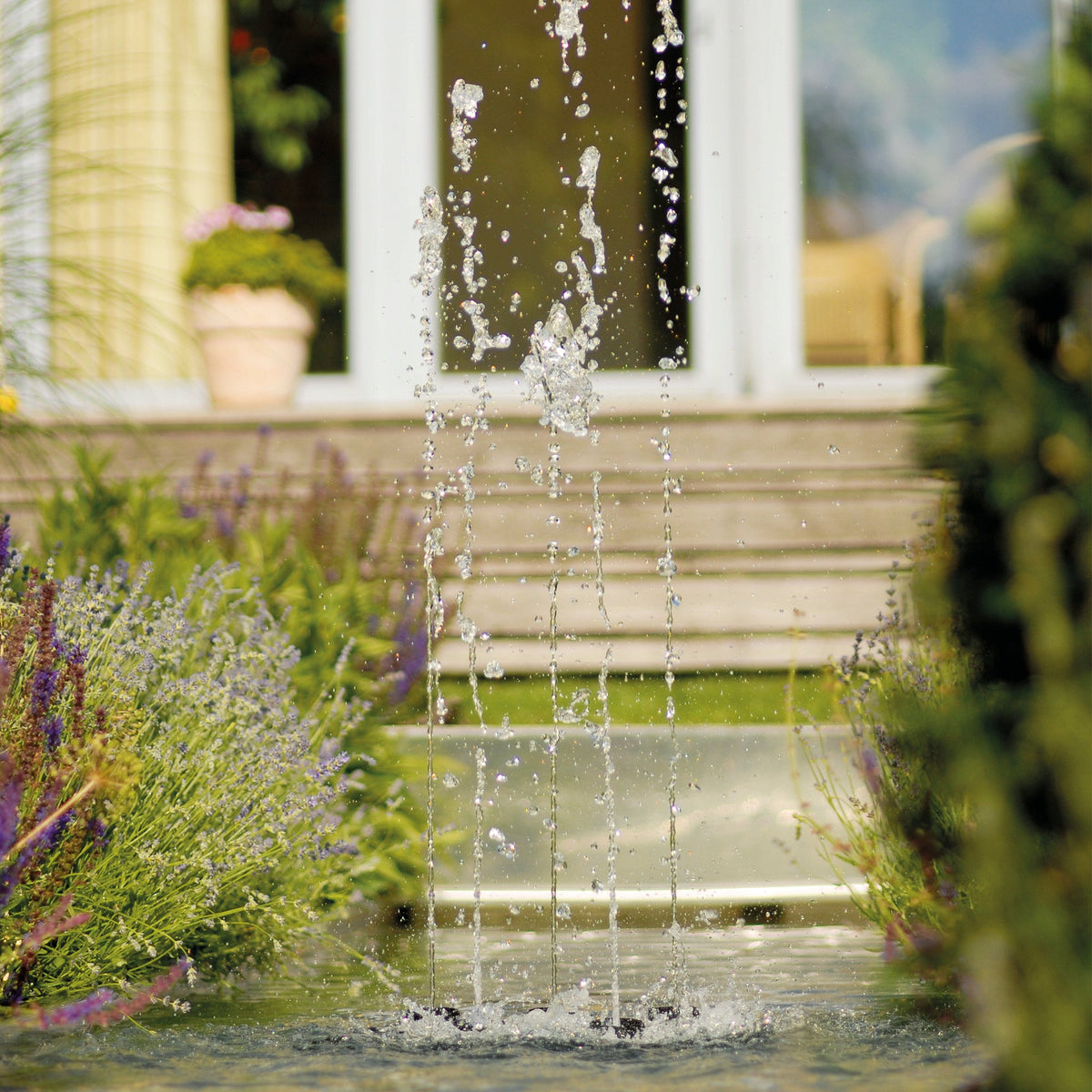 Atlantic-Oase Water Trio & Quintet — product image 13