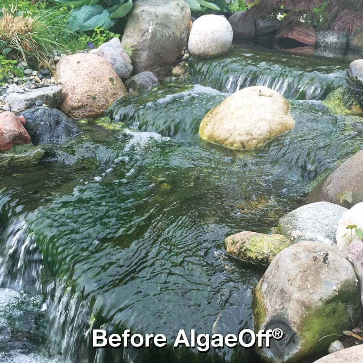 CrystalClear D-Solv Oxy Pond Cleaner — product image 5