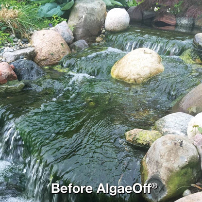 CrystalClear D-Solv Oxy Pond Cleaner — product image 5