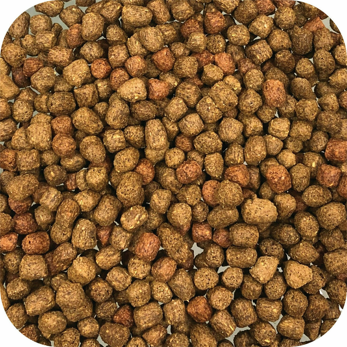 Microbe-Lift Big Bites Floating Pellets — product image 6