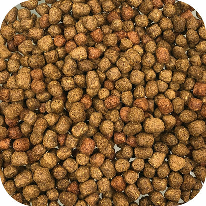 Microbe-Lift Big Bites Floating Pellets — product image 6