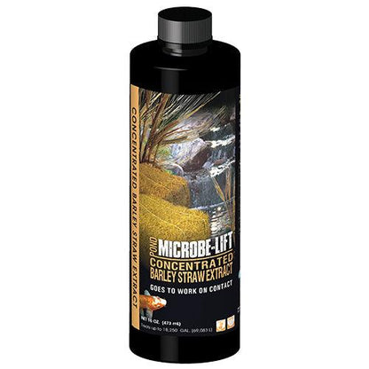 Microbe-Lift Concentrated Barley Straw Extract — 8 oz