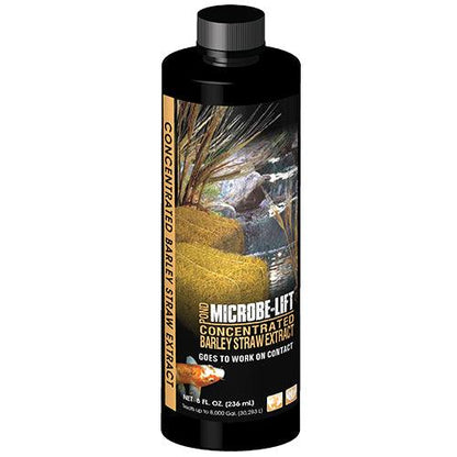 Microbe-Lift Concentrated Barley Straw Extract — 16 oz