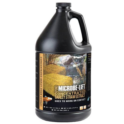 Microbe-Lift Concentrated Barley Straw Extract — 1 Gallon
