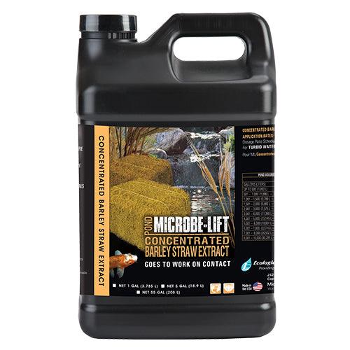 Microbe-Lift Concentrated Barley Straw Extract — 5 Gallons