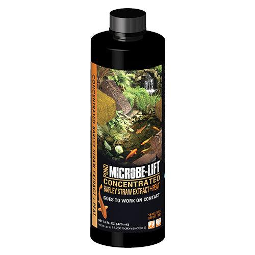 Microbe-Lift Concentrated Barley Straw Extract Plus Peat — 16 oz