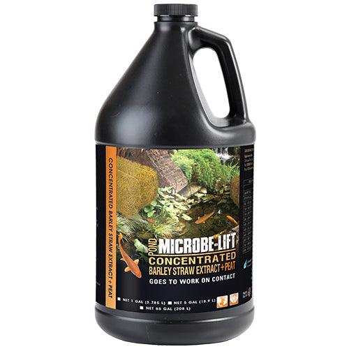 Microbe-Lift Concentrated Barley Straw Extract Plus Peat — 1 Gallon