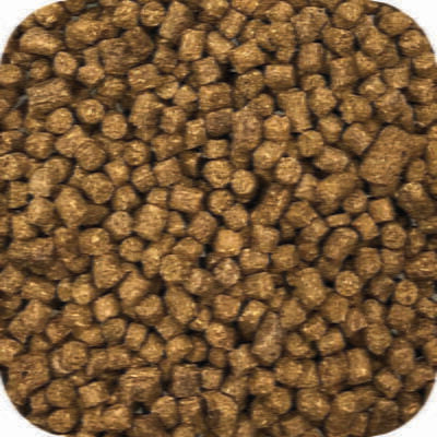 Microbe-Lift Sinking Food Pellets — product image 3
