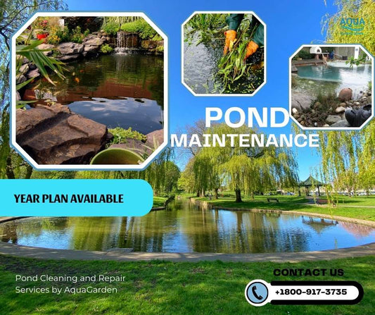 Pond-Water Feature Maintenance - Rosty Market Inc.