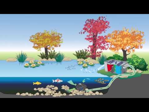 Atlantic-Oase Vitronic UV Clarifiers video