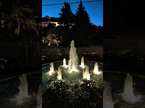 Water Feature with warm white lighting at night view built in Richmond Hill Ontario